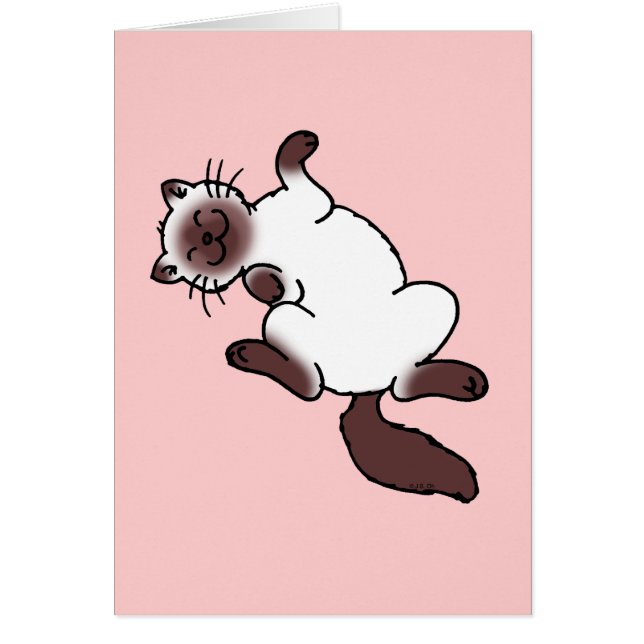 かわいいチョコレートポイントシャム猫 (正面)