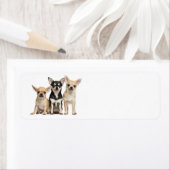 かわいいチワハス ラベル (インサイチュ)