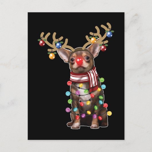 かわいいチワホアドッグおもしろいクリスマスホリデーギフト ポストカード (正面)