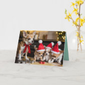 かわいいチワワのクリスマスクッキーカード カード (黄色い花)