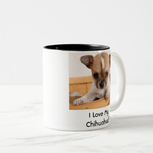 かわいいチワワの小犬のコーヒー・マグ ツートーンマグカップ (正面右)
