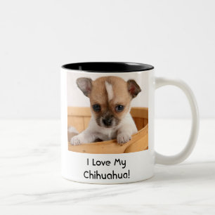 かわいいチワワの小犬のコーヒー・マグ ツートーンマグカップ