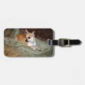 かわいいチワワ犬 ラゲッジタグ (正面横)