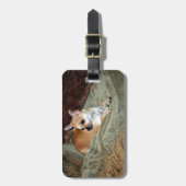 かわいいチワワ犬 ラゲッジタグ (正面縦)