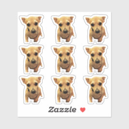 かわいいチワワ犬 4 Carly シール