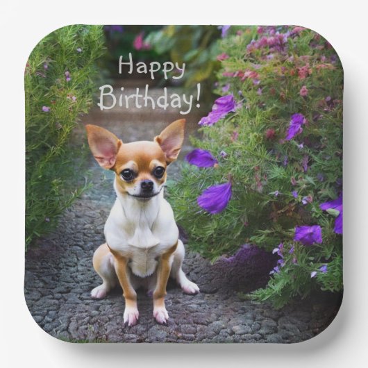 かわいいチワワ ペーパープレート (正面)