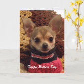 かわいいチワワ: 母の日カード カード (黄色い花)