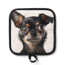 かわいいチワワ