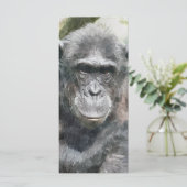 かわいいチンパンジーのカード (スタンド正面)