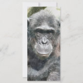 かわいいチンパンジーのカード (正面)