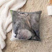 かわいいチンパンジー クッション (ブランケット)