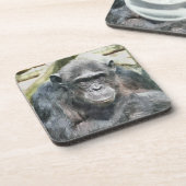 かわいいチンパンジー コースター (左側)