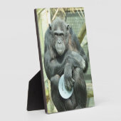 かわいいチンパンジー フォトプラーク (側面)