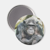 かわいいチンパンジー マグネット (正面/裏面)