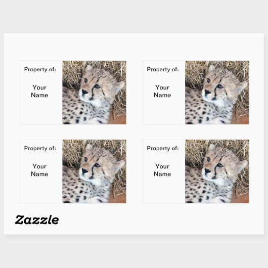 かわいいチーターかわいい写真の名前ラベル/ 長方形シール (シート)