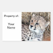 かわいいチーターかわいい写真の名前ラベル/ 長方形シール (正面)