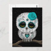 かわいいティール(緑がかった色)の日の死んだ砂糖のスカルフクロウ星 ポストカード (正面/裏面)