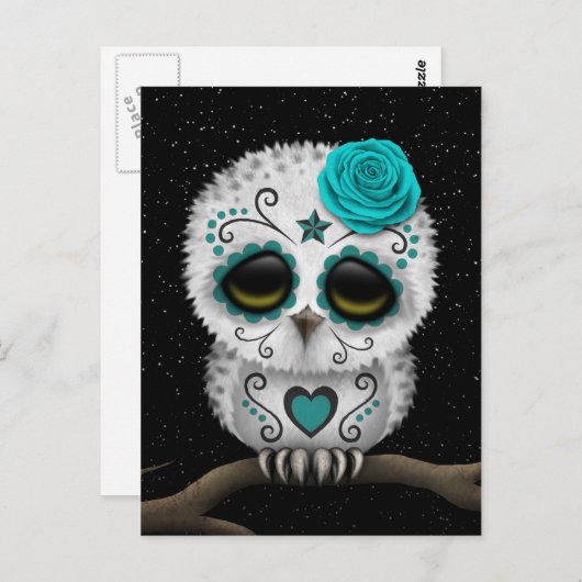 かわいいティール(緑がかった色)の日の死んだ砂糖のスカルフクロウ星 ポストカード (正面/裏面)