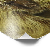 かわいいテキサス州山嵐フォトプリント フォトプリント (角)