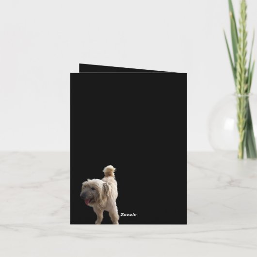 かわいいテリア カード (裏面)