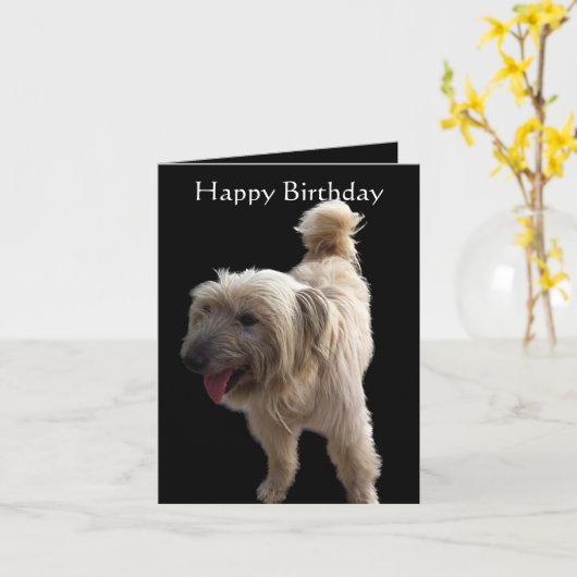 かわいいテリア カード (黄色い花)