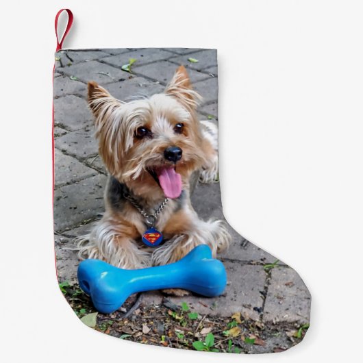 かわいいテリア スモールクリスマスストッキング (正面)