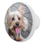 かわいいテリア セラミックノブ (右)