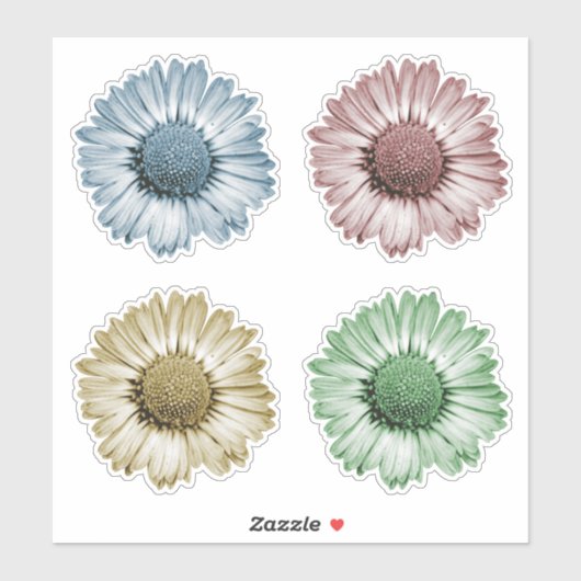 かわいいデイジーの花の頭の4色セットステッカー シール (シート)