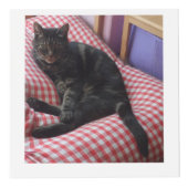 かわいいデイブスクエアフォトキューブ フォトキューブ (正面)