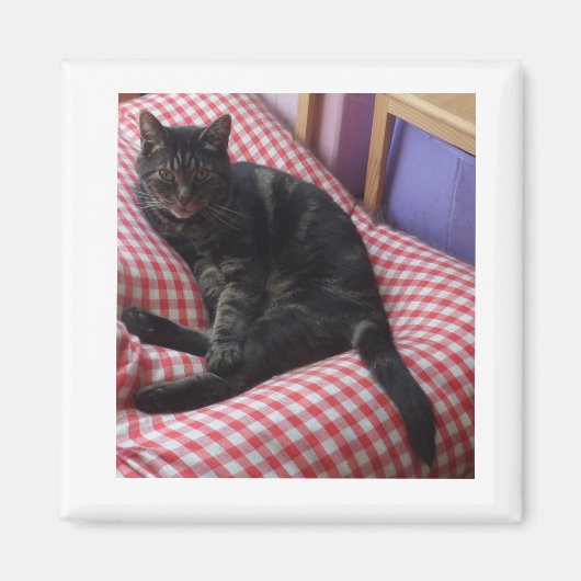 かわいいデイブスクエアマグネット マグネット (正面)