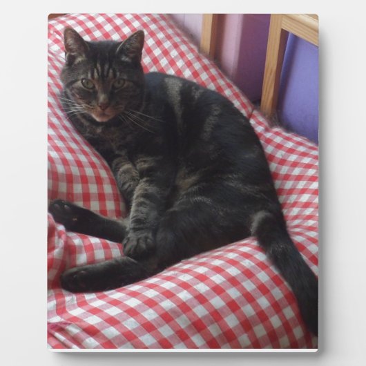 かわいいデイブ フォトプラーク (正面)