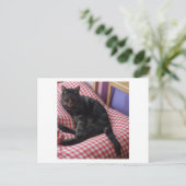 かわいいデイブ ポストカード (スタンド正面)