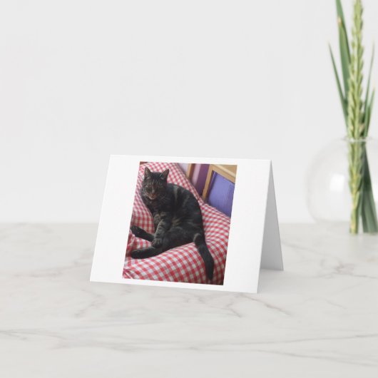 かわいいデイヴが折り畳まれた サンキューカード (正面)