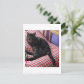 かわいいデイヴの招待状 招待状 (スタンド正面)