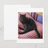 かわいいデイヴの招待 招待状 (正面/裏面)