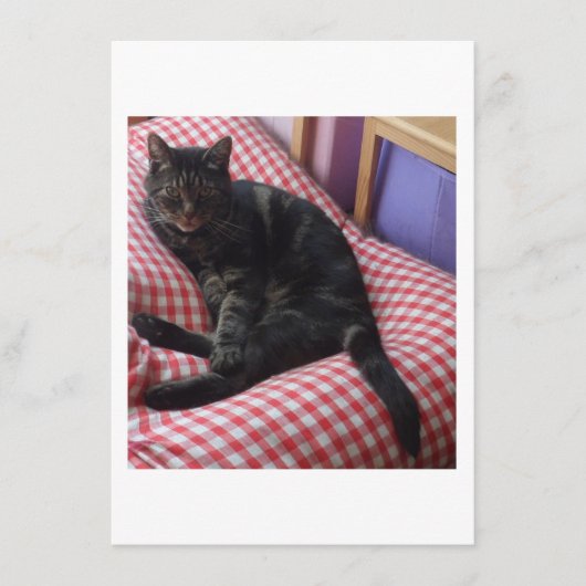 かわいいデイヴ 封入カード エンクロージャーカード (正面)