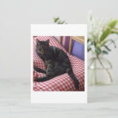 かわいいデイヴ 封入カード エンクロージャーカード (スタンド正面)