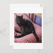 かわいいデイヴ 封入カード エンクロージャーカード (正面/裏面)