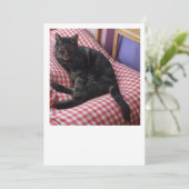 かわいいデーブのフラットカード 案内状 (スタンド正面)