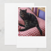 かわいいデーブのフラットカード 案内状 (正面/裏面)