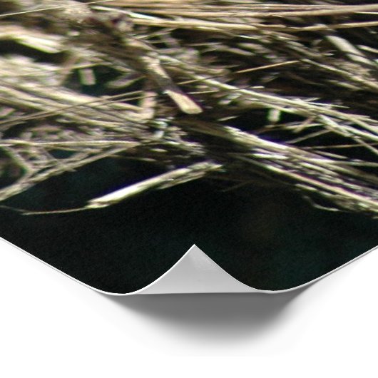 かわいいトカゲ ポスター (角)