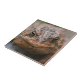 かわいいトッド顔動物 タイル (側面)