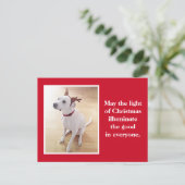 かわいいトナカイ子犬レッドクリスマス ポストカード (スタンド正面)