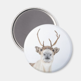 かわいいトナカイ自然写真 マグネット