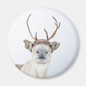 かわいいトナカイ自然写真 マグネット (正面)