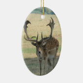 かわいいトナカイ セラミックオーナメント (右)