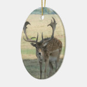 かわいいトナカイ セラミックオーナメント (左)