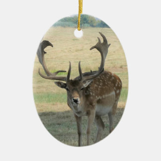 かわいいトナカイ セラミックオーナメント