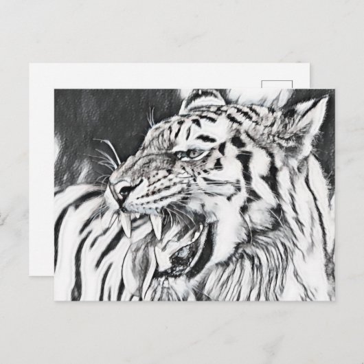 かわいいトラの動物愛好家 ポストカード (正面/裏面)