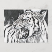 かわいいトラの動物愛好家 ポストカード (正面)